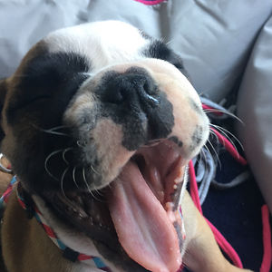 taylor-johnson-3 avatar