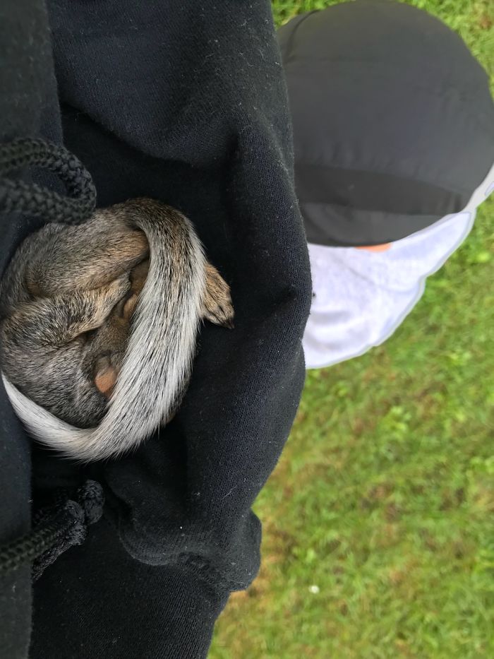 I Just Rescued A Baby Squirrel! I Just Rescued A Baby Squirrel!