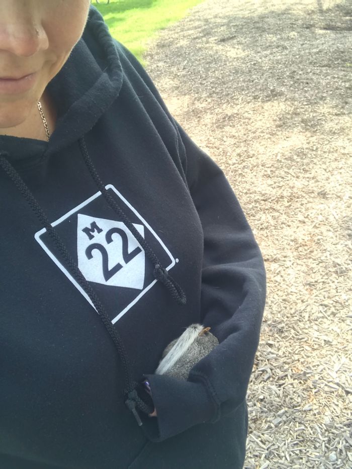 I Just Rescued A Baby Squirrel! I Just Rescued A Baby Squirrel!