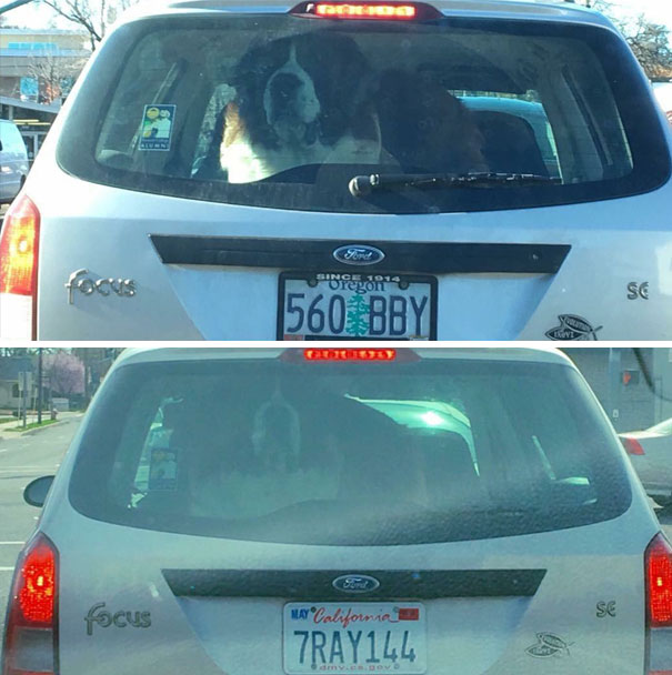 Taken Two Months Apart From Each Other...