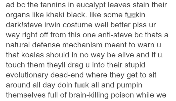 koalas-small-brains-eucalyptus-animals-10