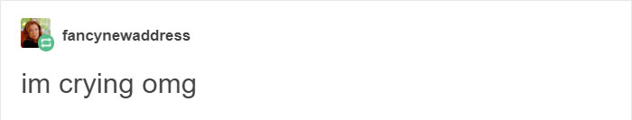 koalas-small-brains-eucalyptus-animals-16