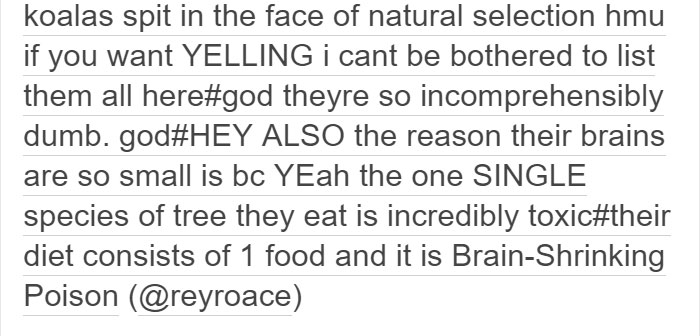 koalas-small-brains-eucalyptus-animals-6 koalas-small-brains-eucalyptus-animals-6
