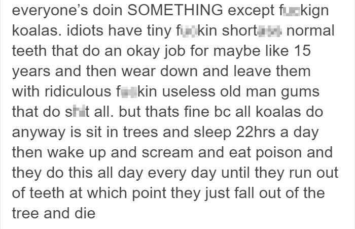 koalas-small-brains-eucalyptus-animals-8 koalas-small-brains-eucalyptus-animals-8