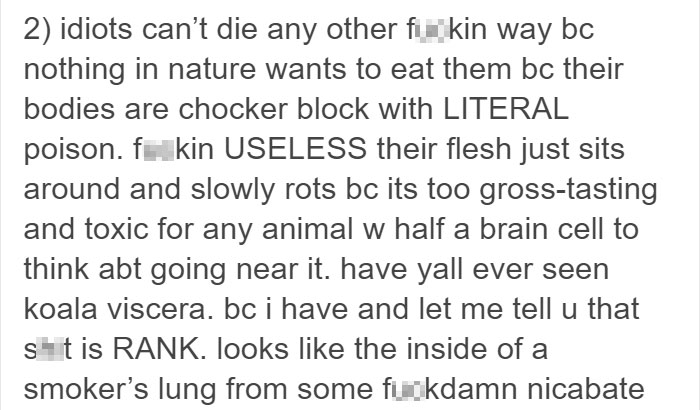 koalas-small-brains-eucalyptus-animals-9 koalas-small-brains-eucalyptus-animals-9