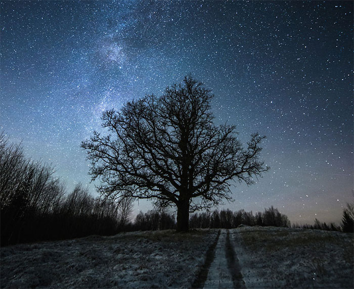 I Explored The Vast Beauty Of Latvia With Camera In My Hands