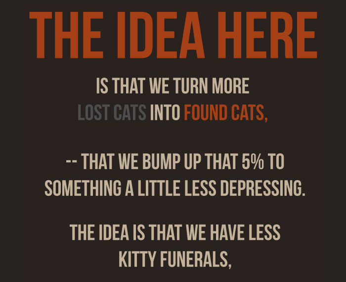 There’s A Campaign To “End The Cat Nudity” And Every Cat Owner Should See It There’s A Campaign To “End The Cat Nudity” And Every Cat Owner Should See It