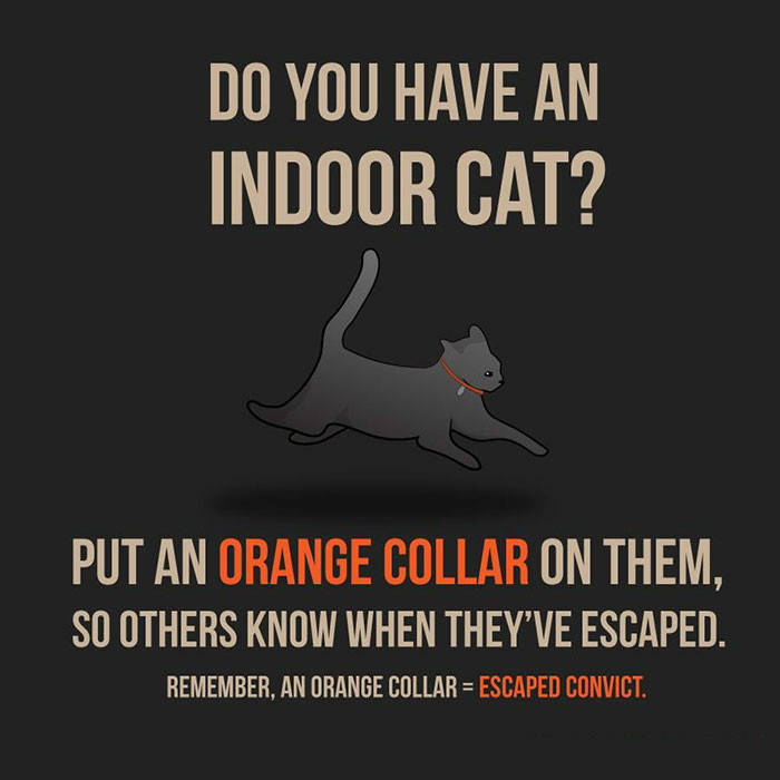 There’s A Campaign To “End The Cat Nudity” And Every Cat Owner Should See It There’s A Campaign To “End The Cat Nudity” And Every Cat Owner Should See It