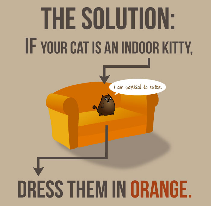 There’s A Campaign To “End The Cat Nudity” And Every Cat Owner Should See It There’s A Campaign To “End The Cat Nudity” And Every Cat Owner Should See It