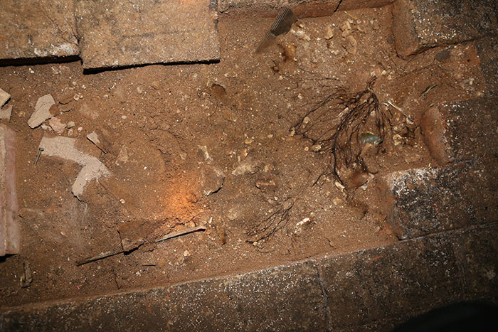 Guy Discovers A Trap Door In His Apartment Floor, Finds Something That Wasn't In The Lease Guy Discovers A Trap Door In His Apartment Floor, Finds Something That Wasn't In The Lease