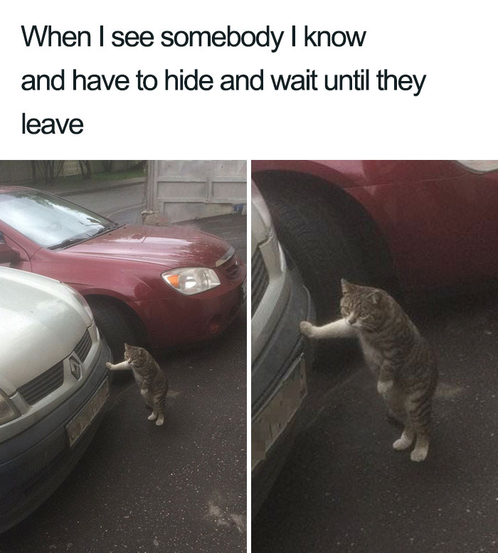 Unexpected Encounters