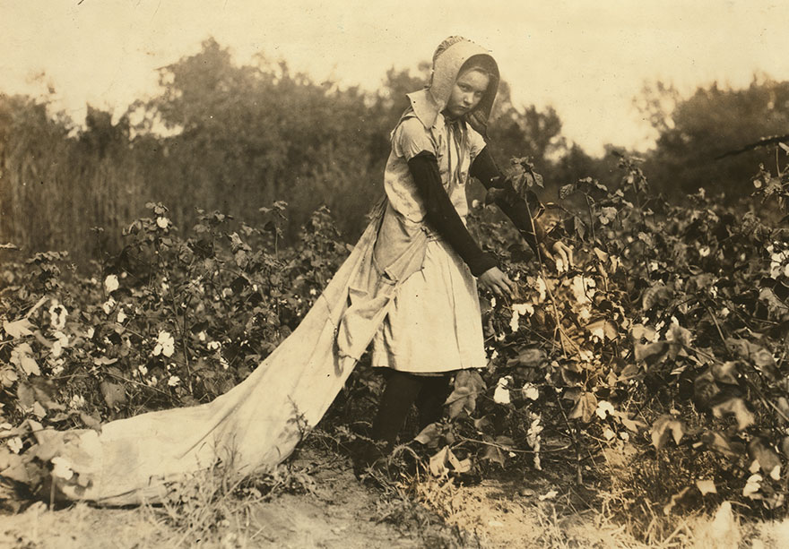 Callie Campbell, 11 Years Old, Picks 75 To 125 Pounds Of Cotton A Day, And Totes 50 Pounds Of It When Sack Gets Full. "No, I Don't Like It Very Much." Location: Potawotamie County, Oklahoma
