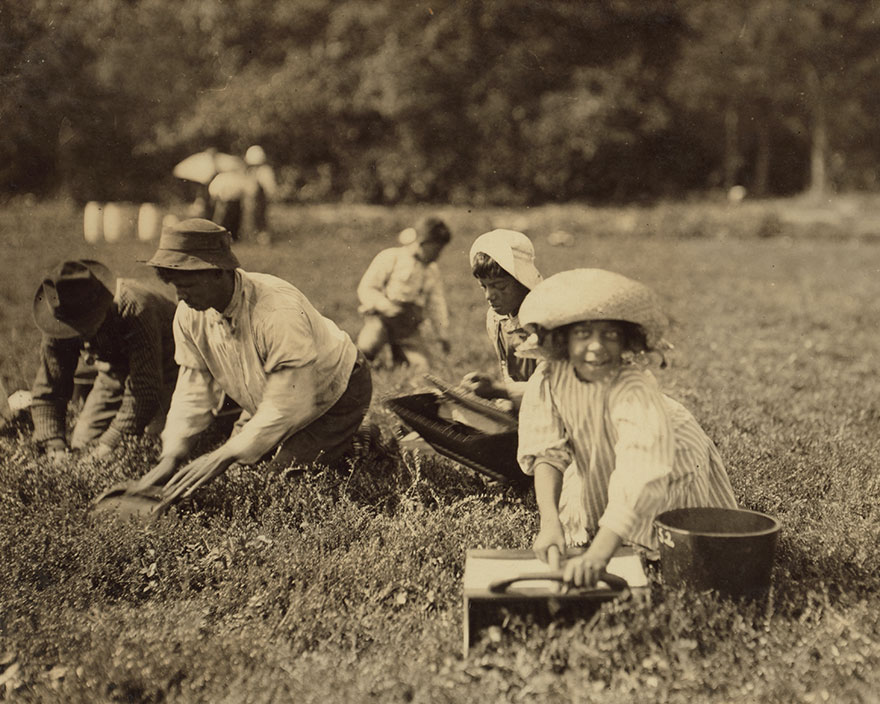Two Little Pickers. Manuel Alvez - 12 Years, Marion Alvez, 8 Years. She Picks 19 Measures. He Picks 10 Measures. Location: Falmouth - Baker Bog, Massachusetts