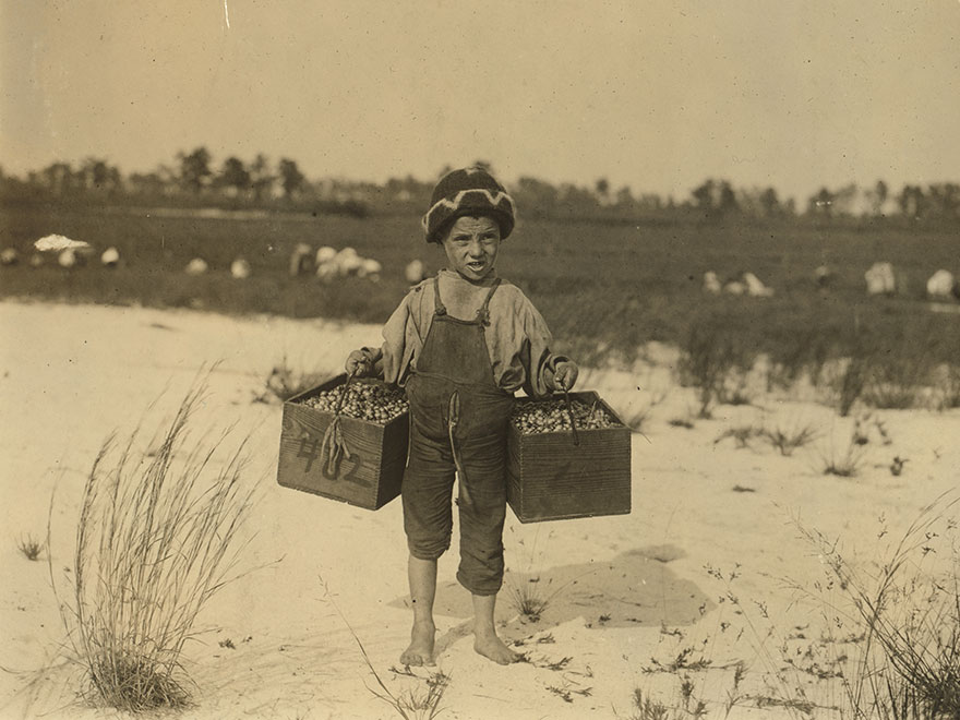 Salvin Nocito, 5 Years Old, Carries 2 Pecks Of Cranberries For Long Distance To The "Bushel-Man." Location: Browns Mills, New Jersey
