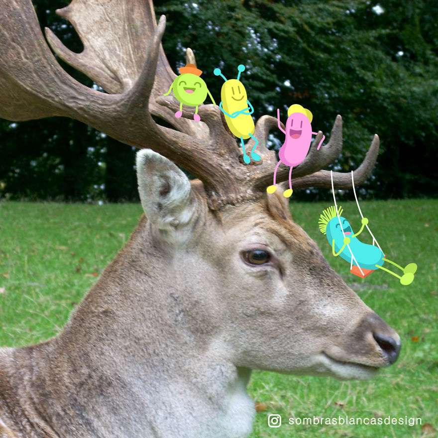 I Add Happy, Colorful Creatures To Everyday Life And Travel Photos (Part 2)