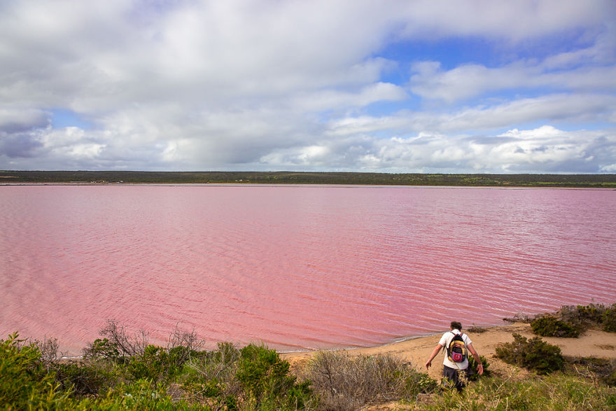 I Photographed A Pink Lake From The Air