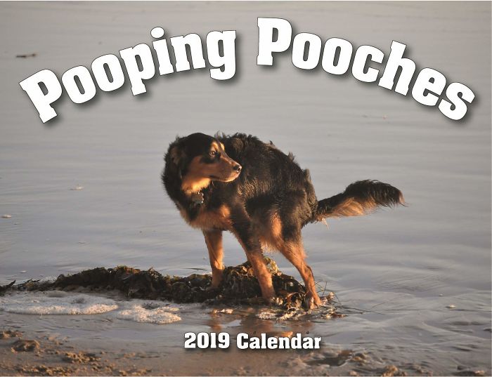 2019 Pooping Dog Calendar Is Here, And It's The Crappiest Calendar We've Ever Seen