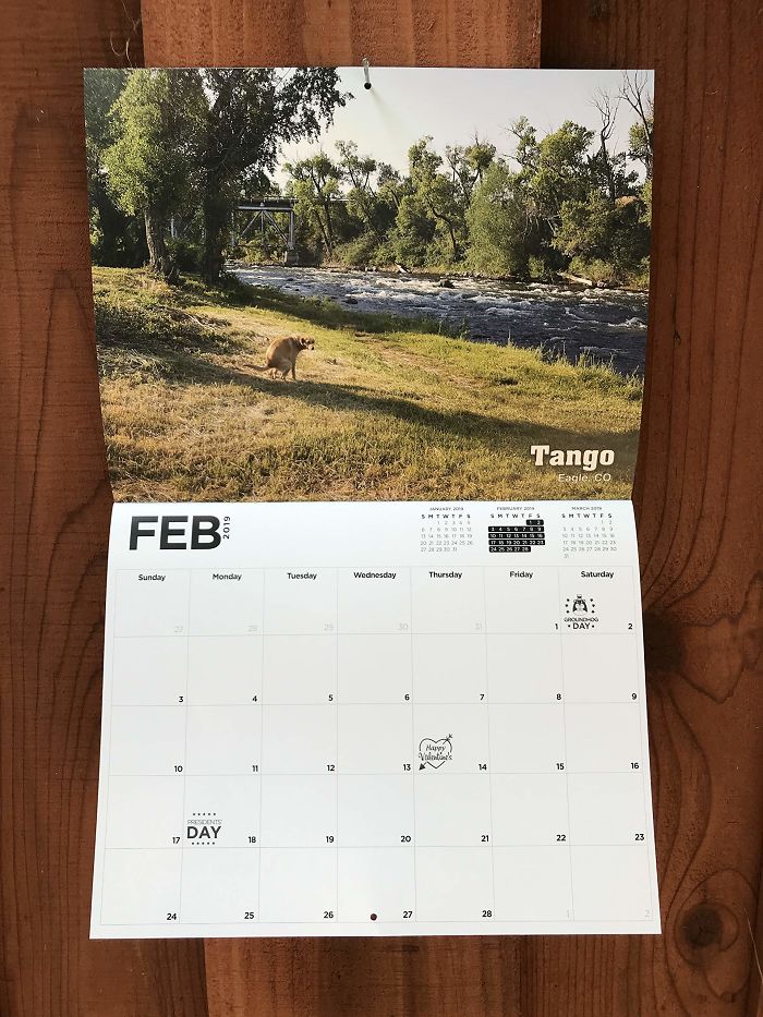 2019 Pooping Dog Calendar Is Here, And It's The Crappiest Calendar We've Ever Seen 2019 Pooping Dog Calendar Is Here, And It's The Crappiest Calendar We've Ever Seen