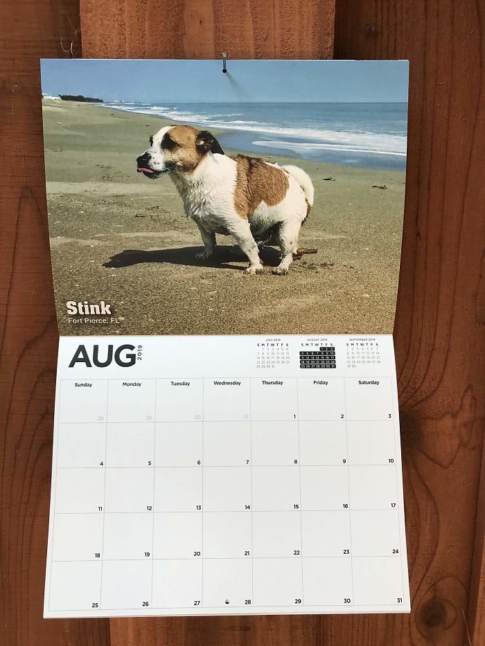 2019 Pooping Dog Calendar Is Here, And It's The Crappiest Calendar We've Ever Seen 2019 Pooping Dog Calendar Is Here, And It's The Crappiest Calendar We've Ever Seen