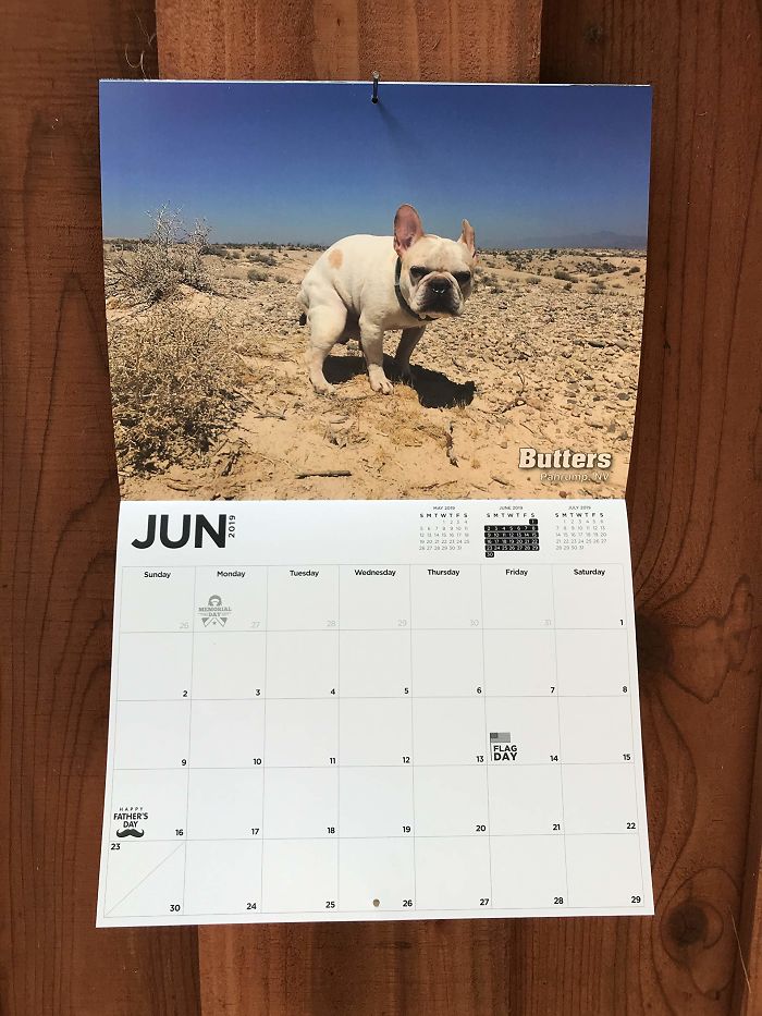 2019 Pooping Dog Calendar Is Here, And It's The Crappiest Calendar We've Ever Seen
