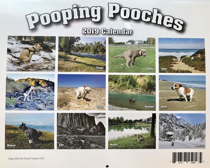 2019 Pooping Dog Calendar Is Here, And It's The Crappiest Calendar We've Ever Seen