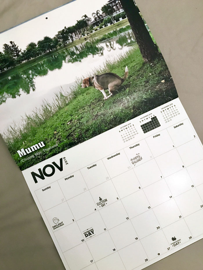 2019 Pooping Dog Calendar Is Here, And It's The Crappiest Calendar We've Ever Seen
