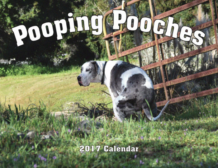 2019 Pooping Dog Calendar Is Here, And It's The Crappiest Calendar We've Ever Seen