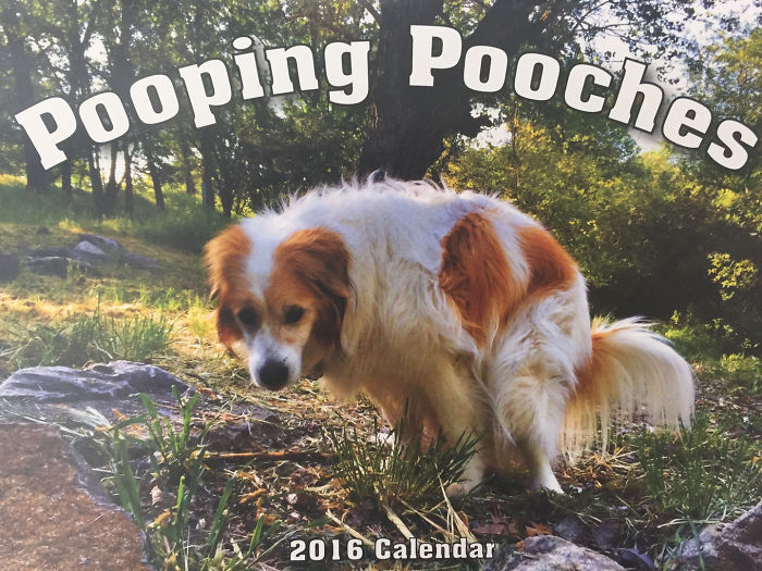 2019 Pooping Dog Calendar Is Here, And It's The Crappiest Calendar We've Ever Seen 2019 Pooping Dog Calendar Is Here, And It's The Crappiest Calendar We've Ever Seen