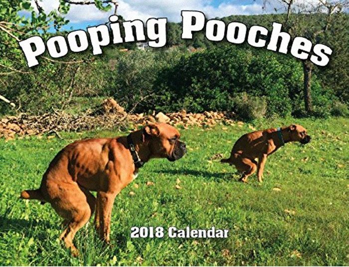 2019 Pooping Dog Calendar Is Here, And It's The Crappiest Calendar We've Ever Seen 2019 Pooping Dog Calendar Is Here, And It's The Crappiest Calendar We've Ever Seen