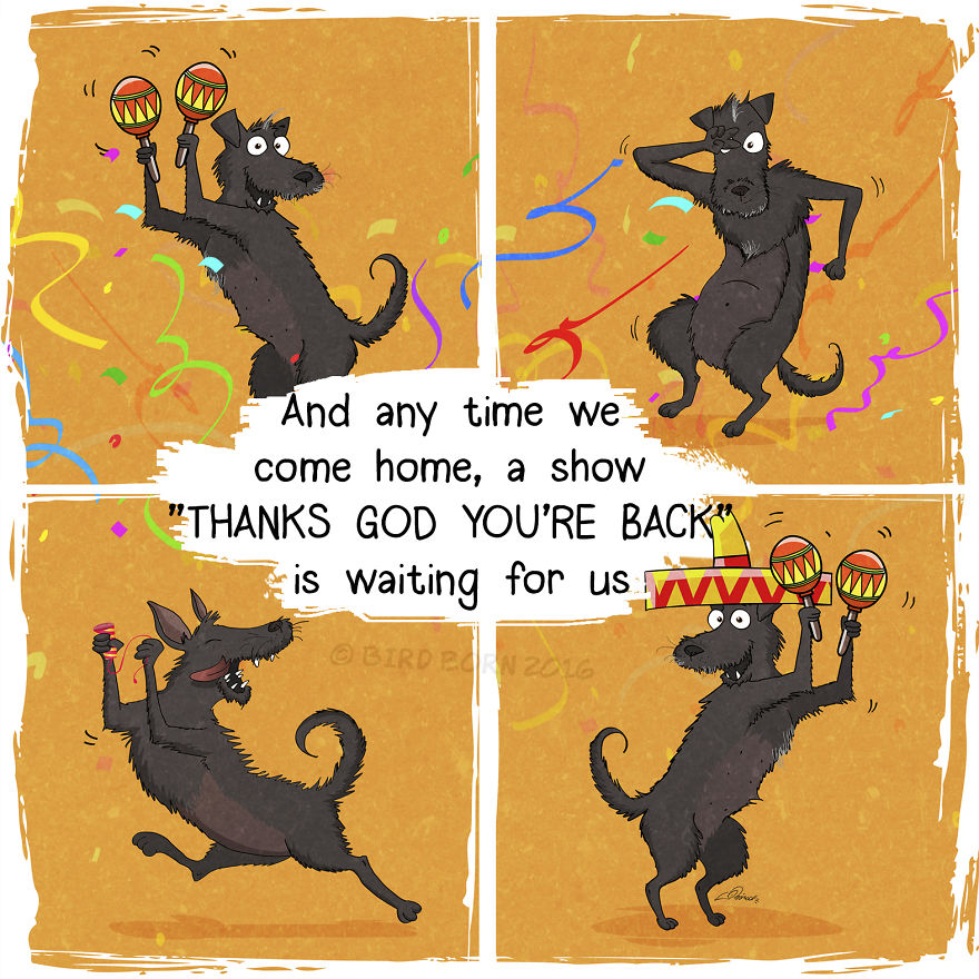 10+ Things That We Realized After Spontaneously Adopting A Dog From A Shelter 10+ Things That We Realized After Spontaneously Adopting A Dog From A Shelter