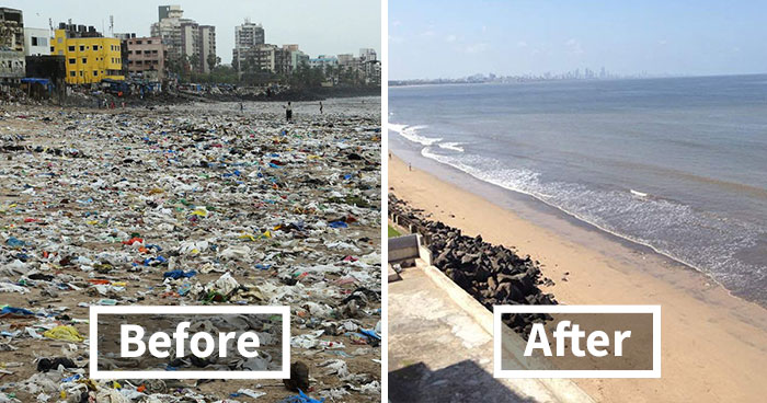 Turtles Come Back To Indian Beach For The First Time In 20 Years After World’s Biggest Clean Up, Prove We Can Make A Difference