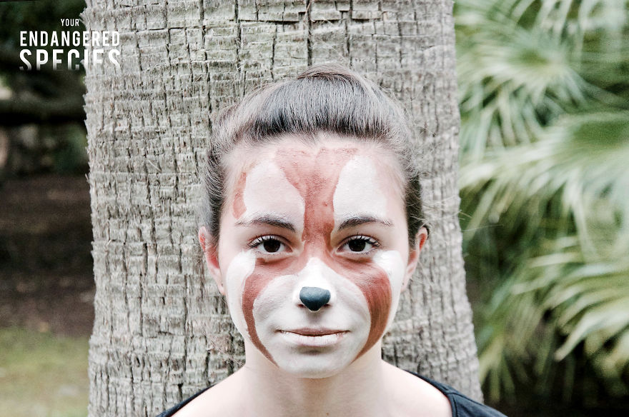 I Created A Music Clip With 30 Children To Raise Awareness For Endangered Species I Created A Music Clip With 30 Children To Raise Awareness For Endangered Species