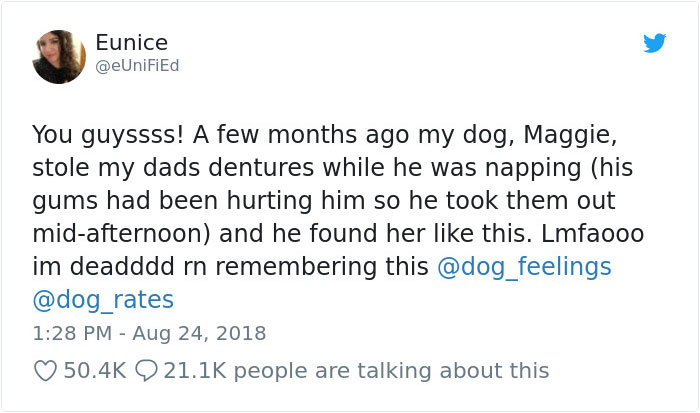 Dog Steals Owner's Dentures While He Sleeps, Hilarity Ensues