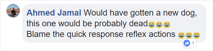 Dog Steals Owner's Dentures While He Sleeps, Hilarity Ensues Dog Steals Owner's Dentures While He Sleeps, Hilarity Ensues