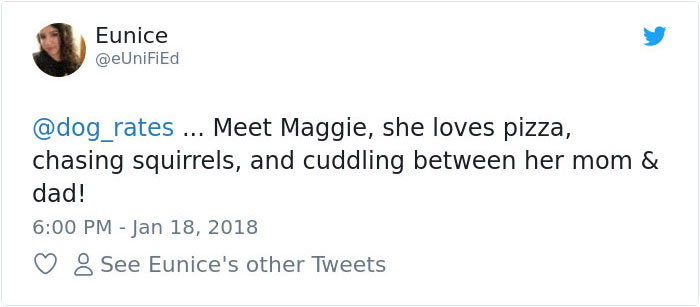 Dog Steals Owner's Dentures While He Sleeps, Hilarity Ensues