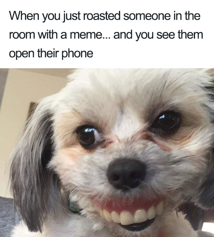 Dog Steals Owner's Dentures While He Sleeps, Hilarity Ensues