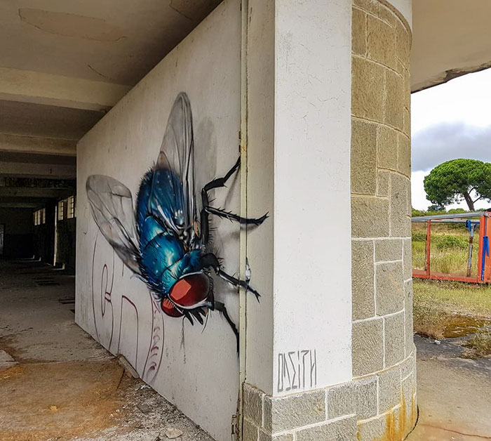 Odeith Graffiti