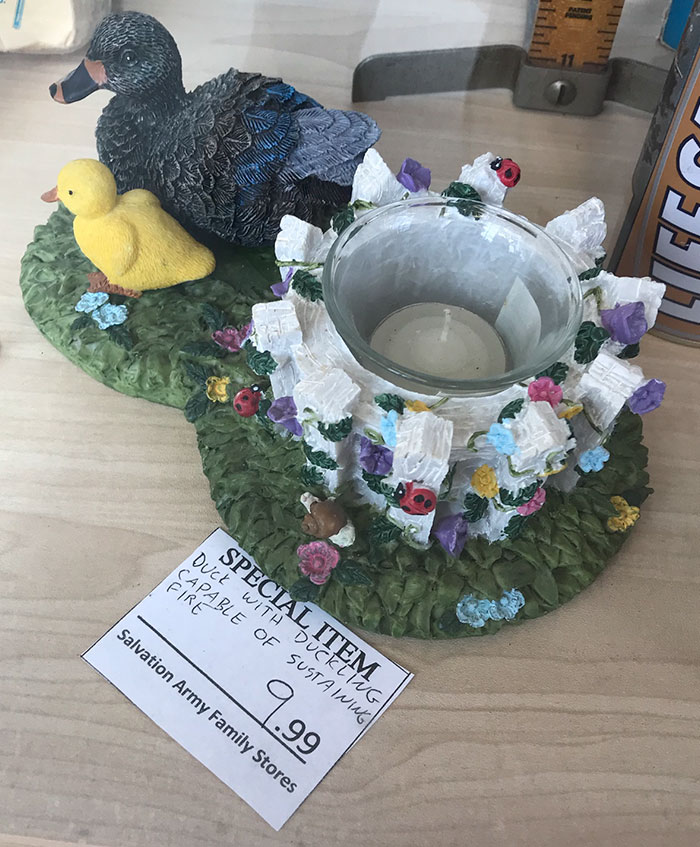 Duck With Duckling Capable Of Sustaining Fire