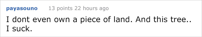 This City Granted The Right For This Tree To Own Itself And It's Brilliant This City Granted The Right For This Tree To Own Itself And It's Brilliant