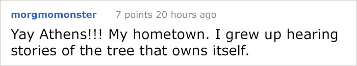 This City Granted The Right For This Tree To Own Itself And It's Brilliant This City Granted The Right For This Tree To Own Itself And It's Brilliant