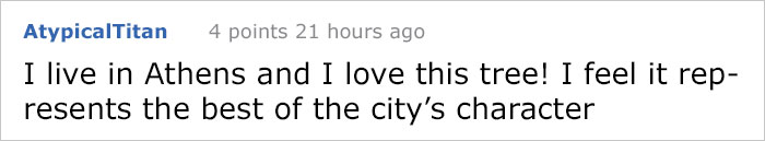 This City Granted The Right For This Tree To Own Itself And It's Brilliant