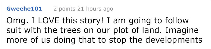 This City Granted The Right For This Tree To Own Itself And It's Brilliant This City Granted The Right For This Tree To Own Itself And It's Brilliant