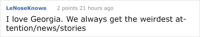 This City Granted The Right For This Tree To Own Itself And It's Brilliant