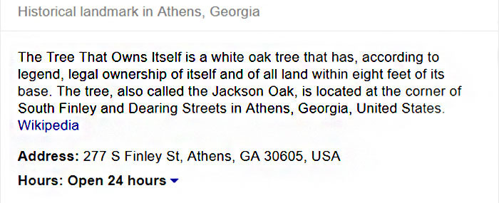 This City Granted The Right For This Tree To Own Itself And It's Brilliant This City Granted The Right For This Tree To Own Itself And It's Brilliant