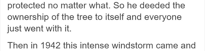 This City Granted The Right For This Tree To Own Itself And It's Brilliant This City Granted The Right For This Tree To Own Itself And It's Brilliant
