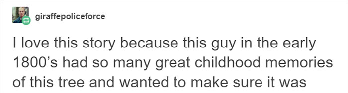 This City Granted The Right For This Tree To Own Itself And It's Brilliant