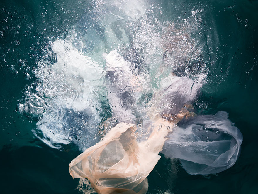 "The Three Voices" 2018