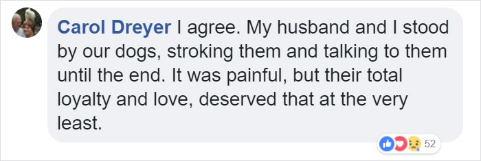 Vets Reveal What Pets Do Right Before Death, And It's A Must-Read For Every Pet Owner Vets Reveal What Pets Do Right Before Death, And It's A Must-Read For Every Pet Owner