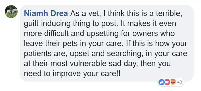 Vets Reveal What Pets Do Right Before Death, And It's A Must-Read For Every Pet Owner