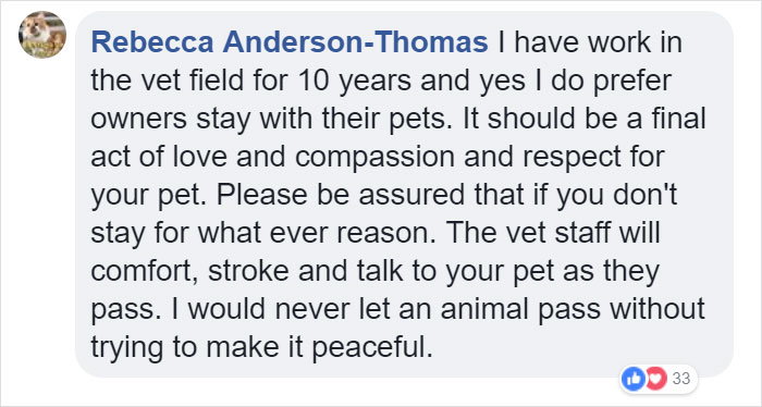 Vets Reveal What Pets Do Right Before Death, And It's A Must-Read For Every Pet Owner